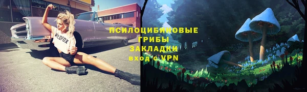 PSILOCYBIN Абинск