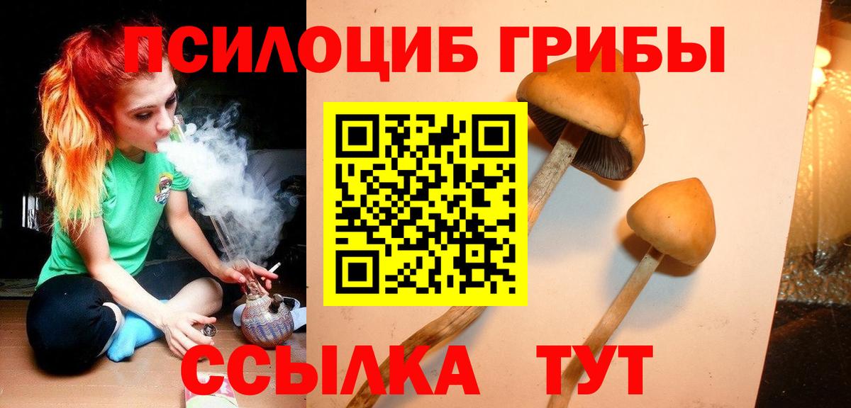 где можно купить наркотик  Галлюциногенные грибы ЛСД  Вход с VPN  Орск 